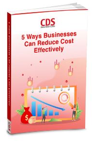 Book cover - 5 Ways Businesses Can Reduce Costa Effectively
