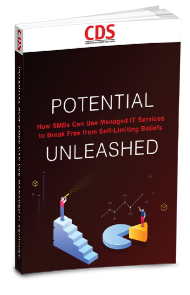 Book cover - Potencial Unleashed